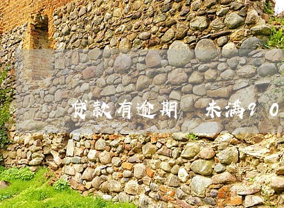贷款有逾期 未满90天 贷款有逾期 未满90天